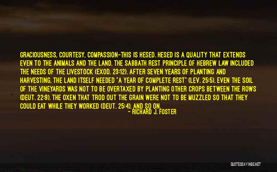 Harvesting Quotes By Richard J. Foster