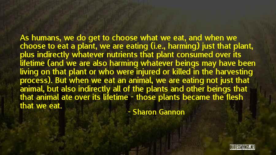 Harvesting Quotes By Sharon Gannon