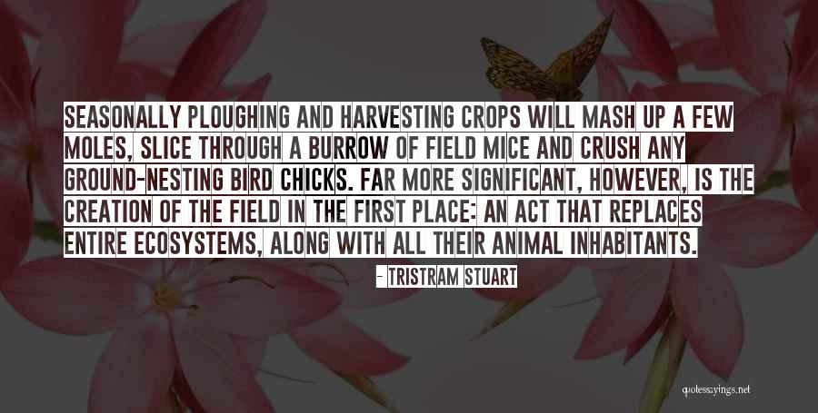 Harvesting Quotes By Tristram Stuart