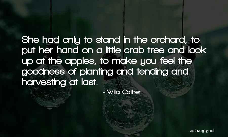 Harvesting Quotes By Willa Cather