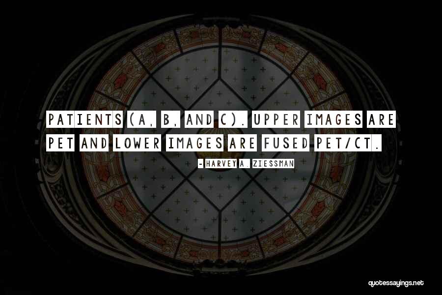 Harvey A. Ziessman Quotes 1372303 Harvey A. Ziessman Quotes 1372303