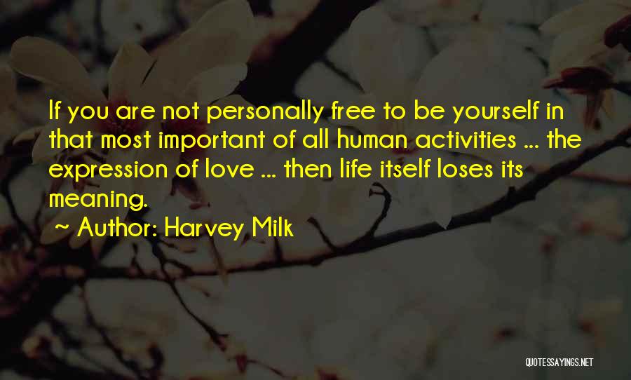 Harvey Milk Quotes 601634