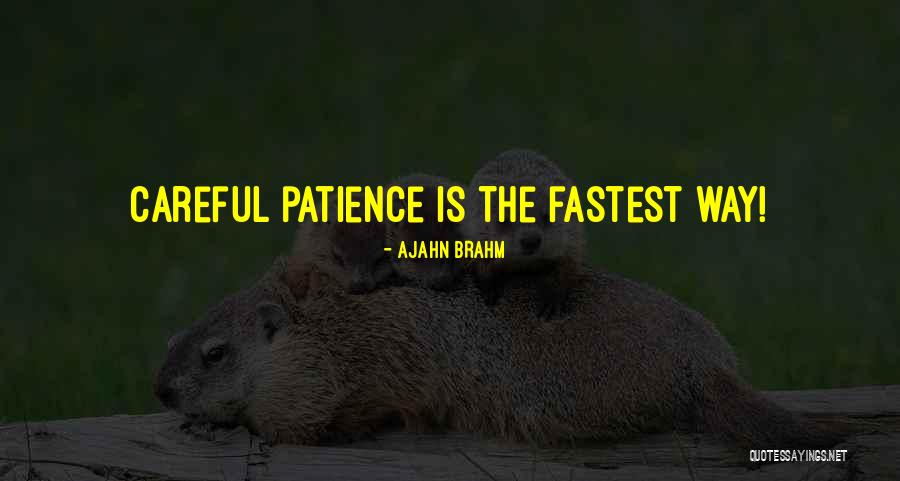 Hasad Par Quotes By Ajahn Brahm Hasad Par Quotes By Ajahn Brahm