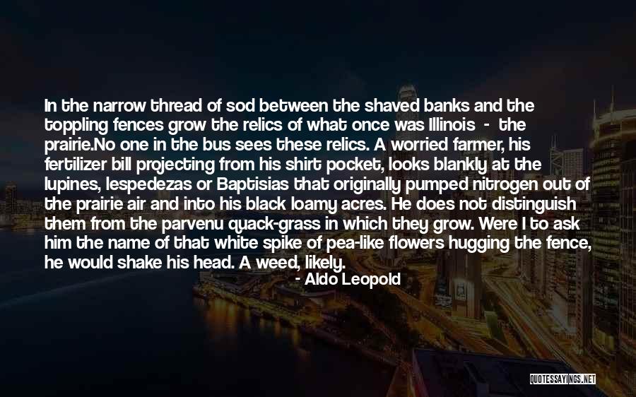 Hasbany Madison Quotes By Aldo Leopold