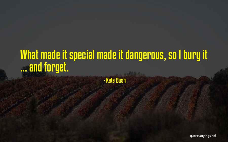 Haseki Quotes By Kate Bush Haseki Quotes By Kate Bush