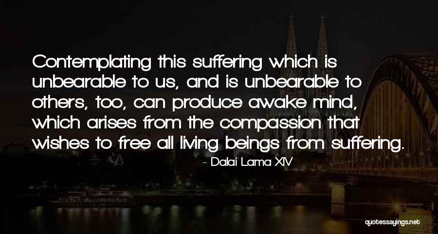 Hasenberg Construction Quotes By Dalai Lama XIV Hasenberg Construction Quotes By Dalai Lama XIV