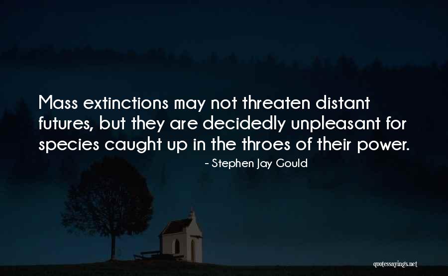 Hashan Pannila Quotes By Stephen Jay Gould Hashan Pannila Quotes By Stephen Jay Gould