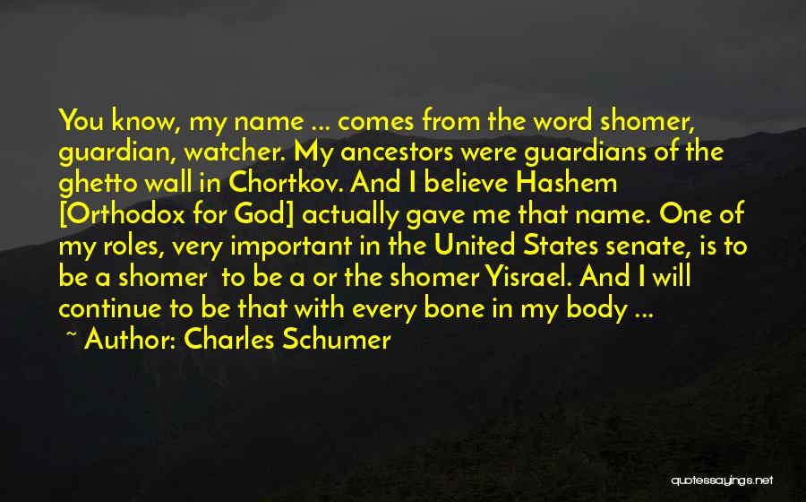 Hashem Quotes By Charles Schumer