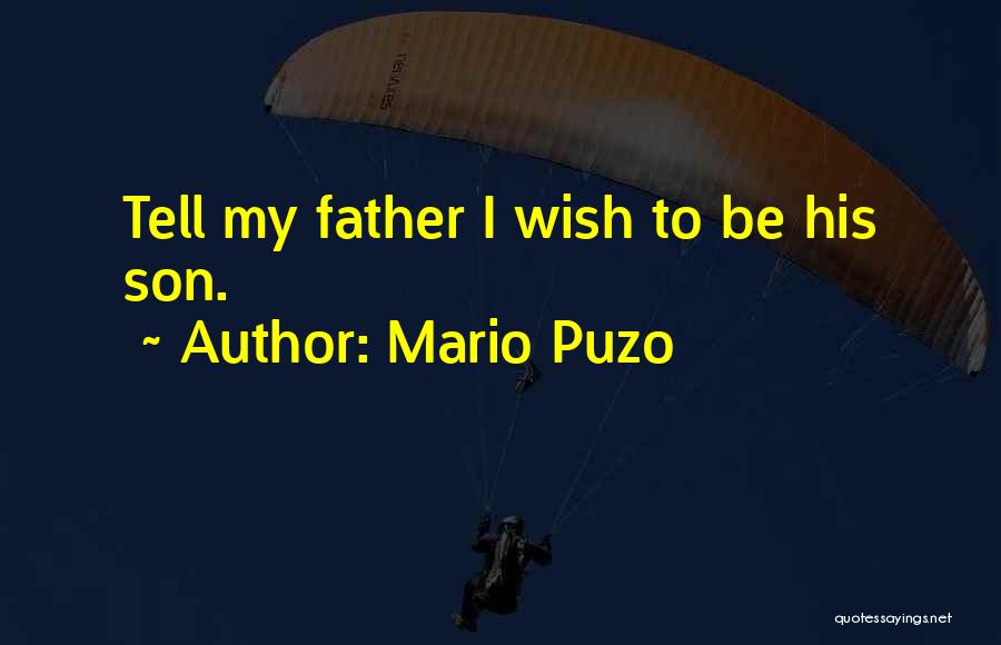 Hashkafah Quotes By Mario Puzo