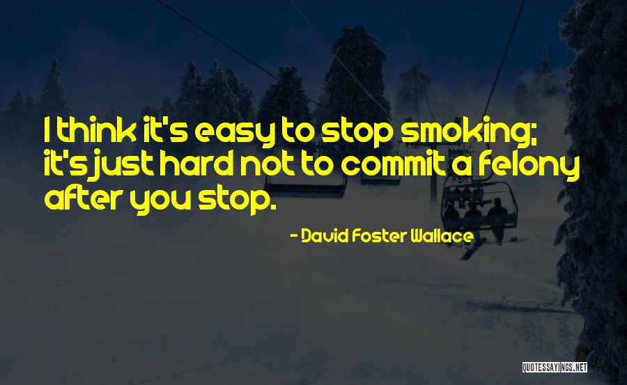 Hasimir Fenring Quotes By David Foster Wallace Hasimir Fenring Quotes By David Foster Wallace