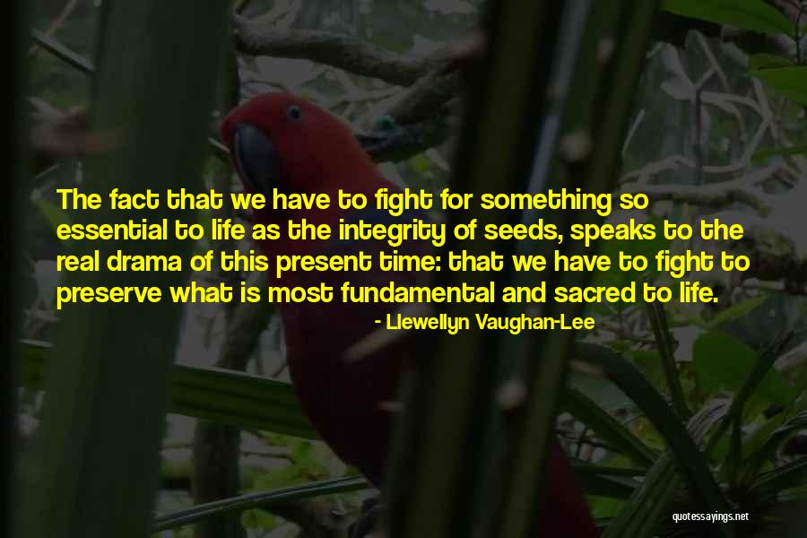 Haslams Quotes By Llewellyn Vaughan-Lee Haslams Quotes By Llewellyn Vaughan-Lee