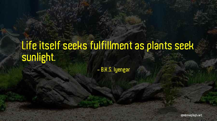 Haslayout Quotes By B.K.S. Iyengar Haslayout Quotes By B.K.S. Iyengar