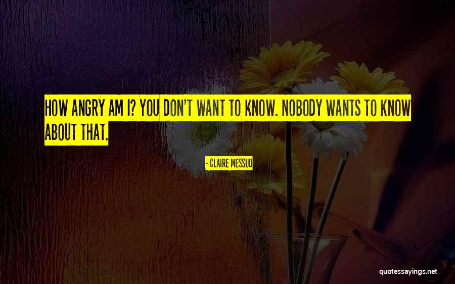 Haslip Quotes By Claire Messud Haslip Quotes By Claire Messud