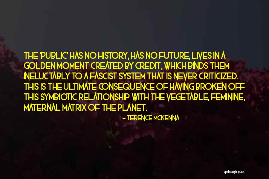 Haslup Enterprises Quotes By Terence McKenna Haslup Enterprises Quotes By Terence McKenna