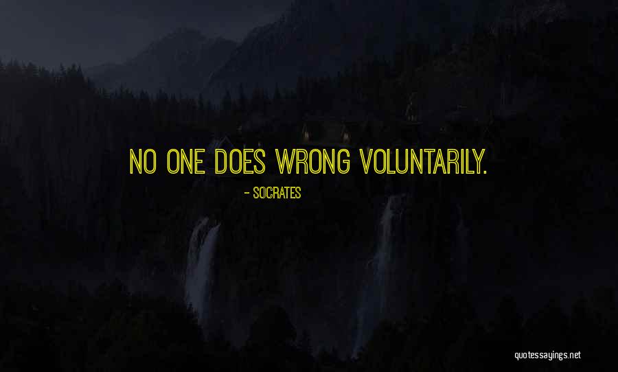 Hassaine Zitouni Quotes By Socrates Hassaine Zitouni Quotes By Socrates