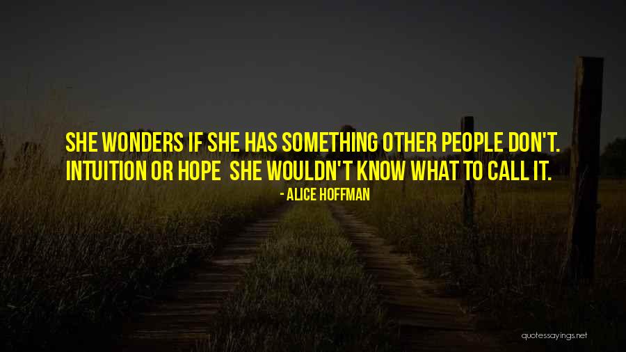 Hassans Father Quotes By Alice Hoffman Hassans Father Quotes By Alice Hoffman