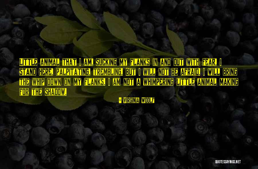 Hassans Father Quotes By Virginia Woolf Hassans Father Quotes By Virginia Woolf