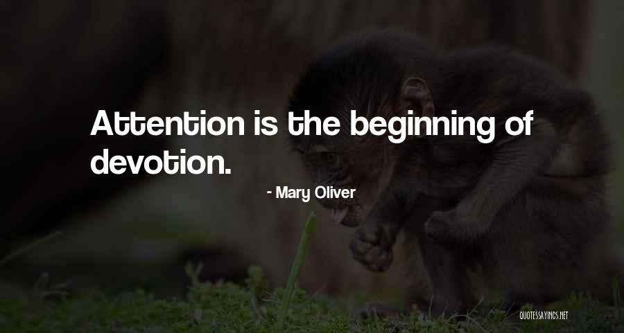 Hassassin Chou Quotes By Mary Oliver Hassassin Chou Quotes By Mary Oliver