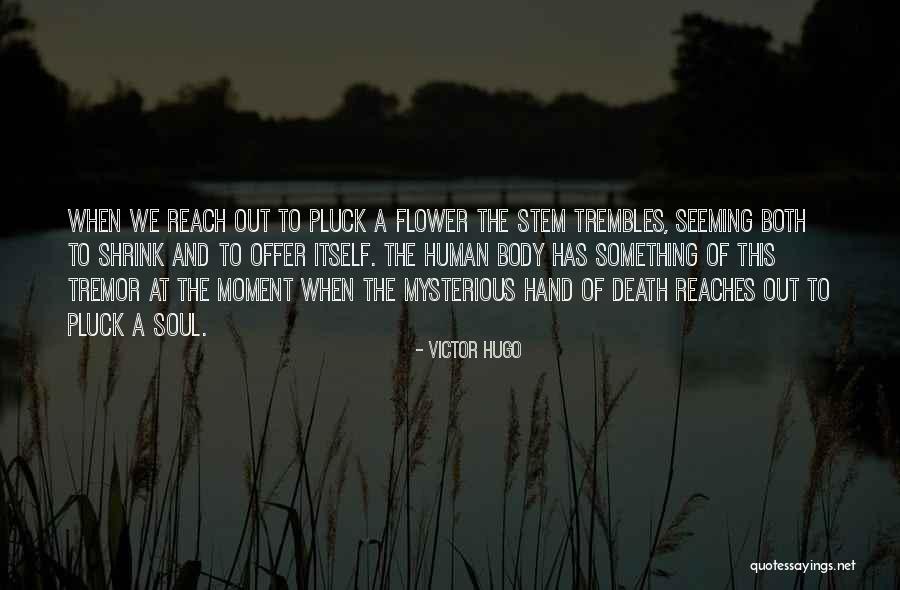 Hassassin Muyib Quotes By Victor Hugo Hassassin Muyib Quotes By Victor Hugo