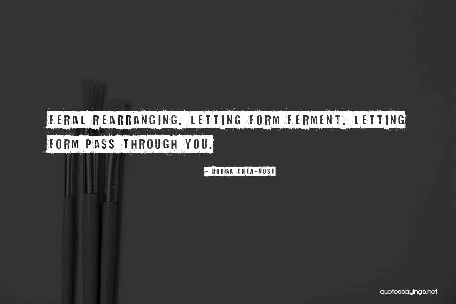 Hasselgren I Dollerup Quotes By Durga Chew-Bose Hasselgren I Dollerup Quotes By Durga Chew-Bose