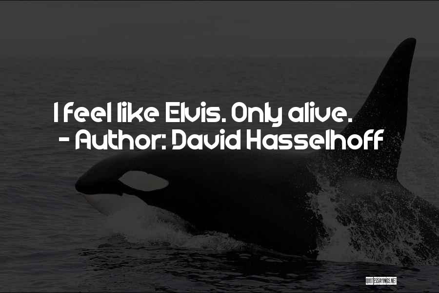 Hasselhoff Quotes By David Hasselhoff