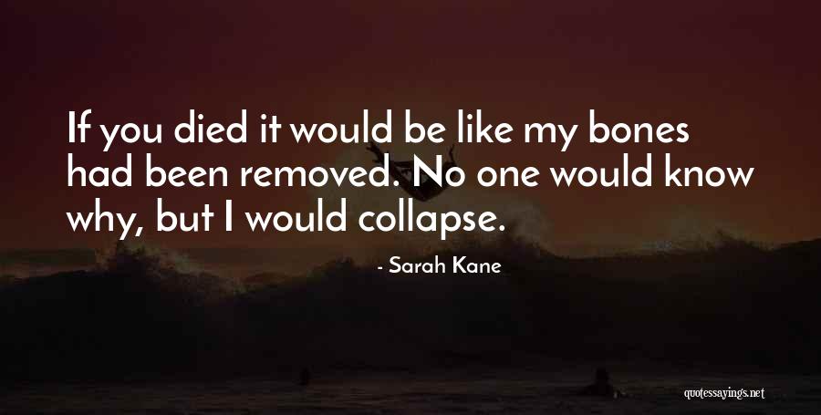 Hasselt Japanse Quotes By Sarah Kane Hasselt Japanse Quotes By Sarah Kane