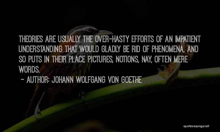 Hasty Words Quotes By Johann Wolfgang Von Goethe