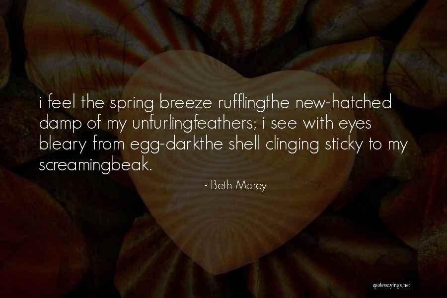 Hatched Egg Quotes By Beth Morey Hatched Egg Quotes By Beth Morey