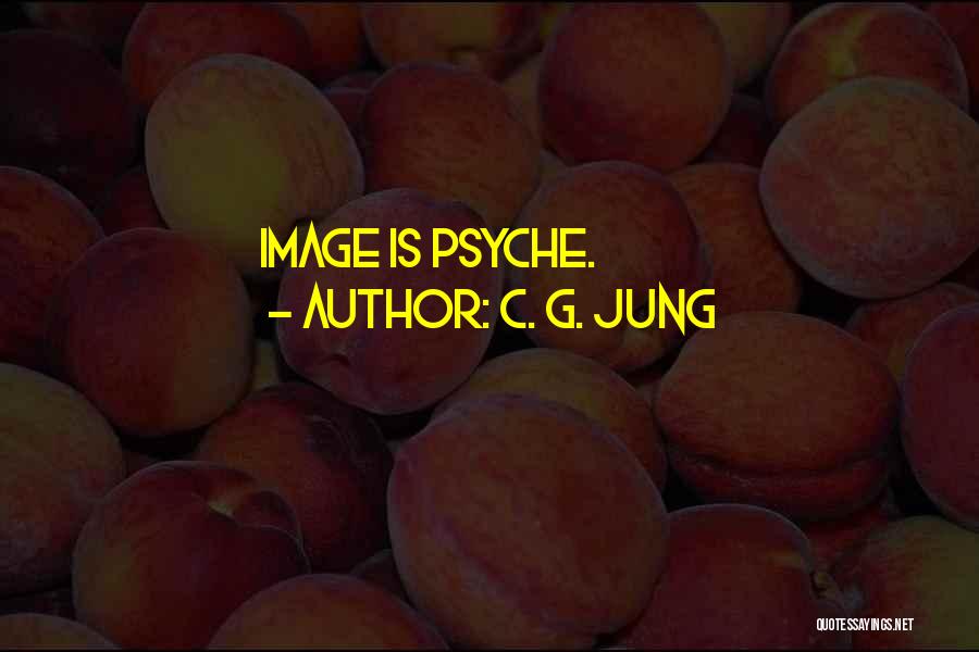 Hatched Lines Quotes By C. G. Jung