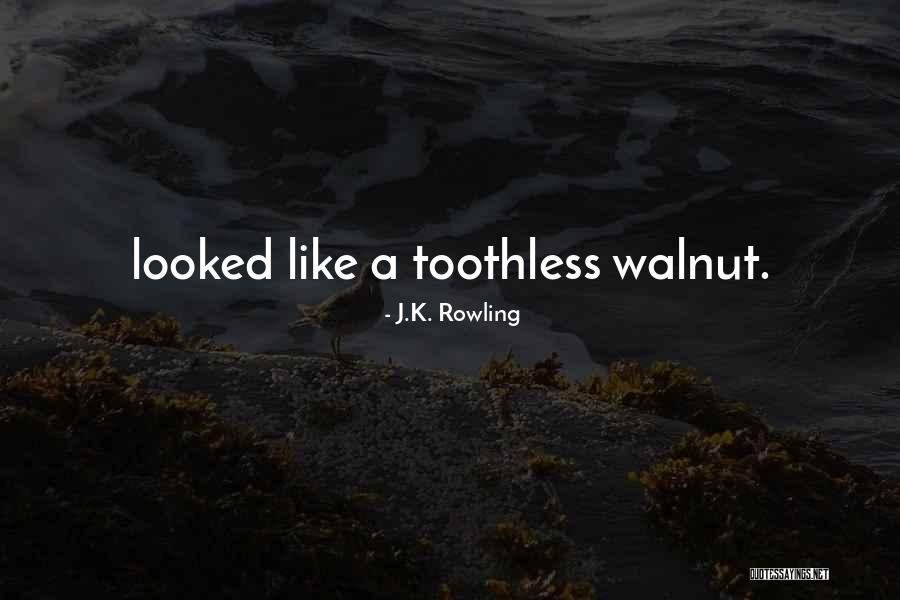 Hatchell Branch Quotes By J.K. Rowling Hatchell Branch Quotes By J.K. Rowling