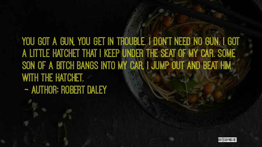 Hatchet Quotes By Robert Daley