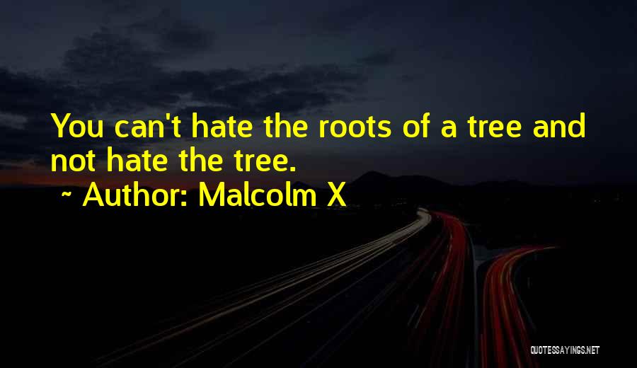 Hate And Racism Quotes By Malcolm X