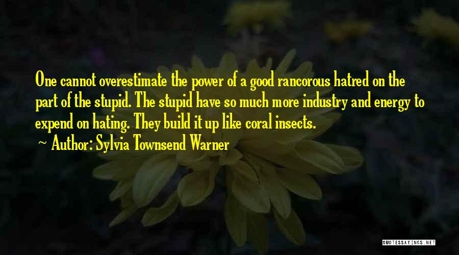 Hate Build Up Quotes By Sylvia Townsend Warner