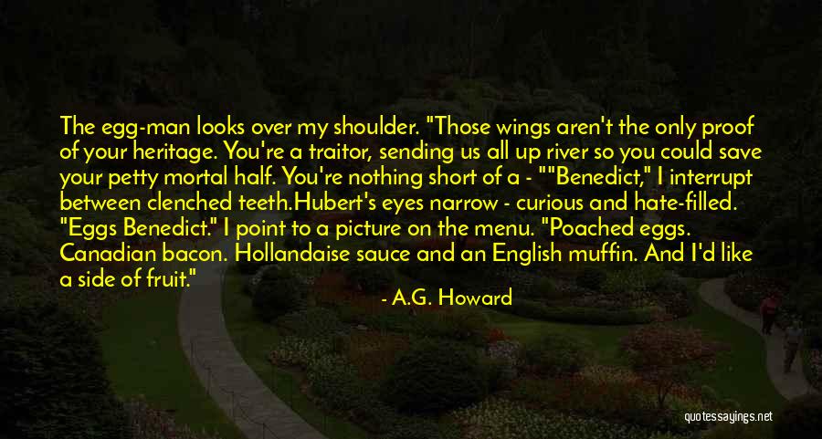 Hate Filled Quotes By A.G. Howard