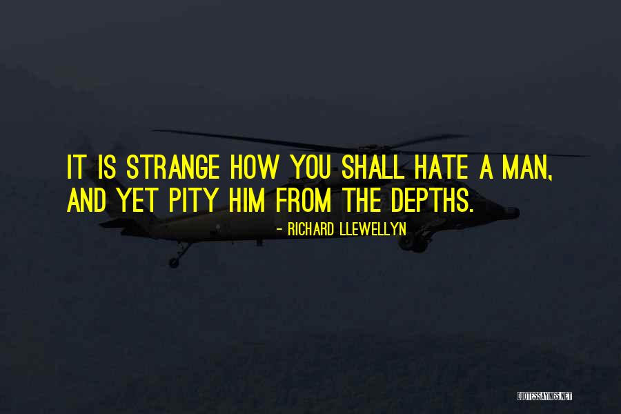 Hate Hatred Quotes By Richard Llewellyn Hate Hatred Quotes By Richard Llewellyn