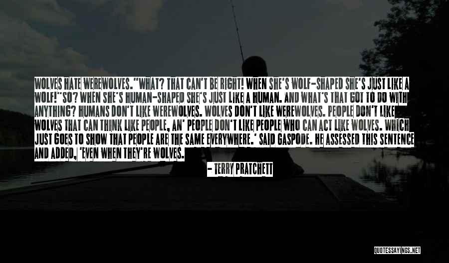 Hate Humans Quotes By Terry Pratchett