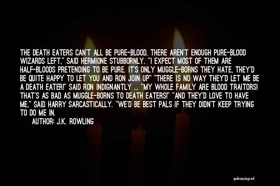 Hate In The Family Quotes By J.K. Rowling