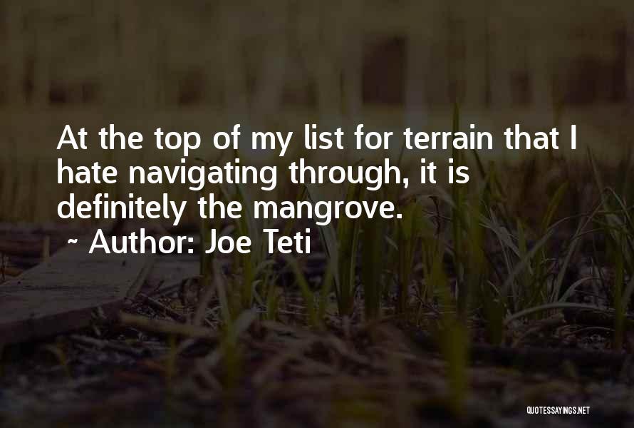 Hate List Quotes By Joe Teti