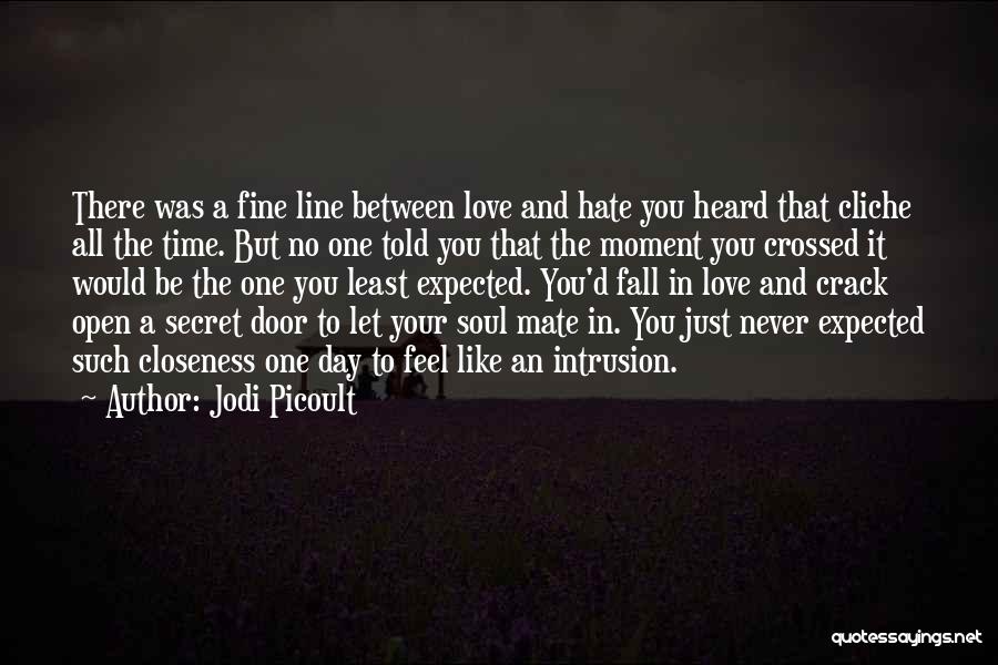 Hate Love One Line Quotes By Jodi Picoult