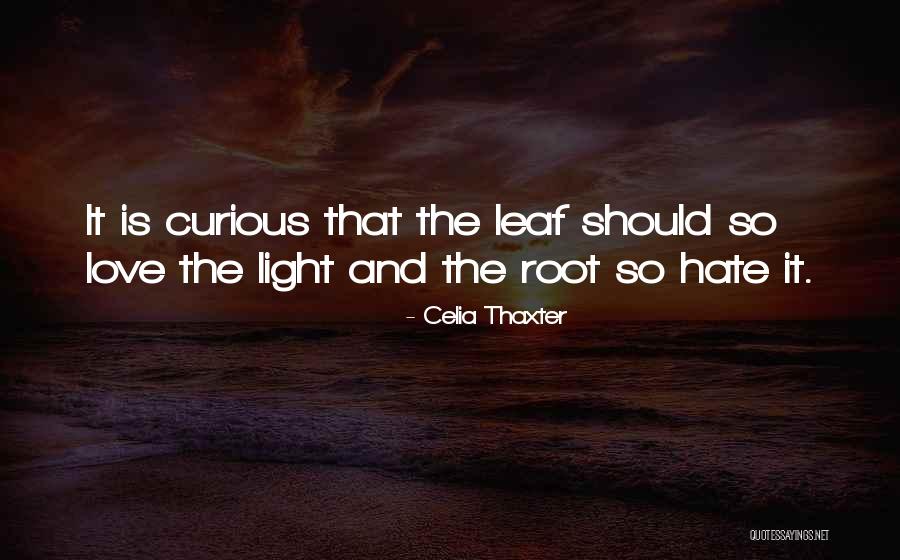 Hate That Quotes By Celia Thaxter Hate That Quotes By Celia Thaxter