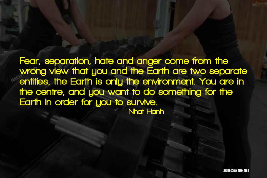 Hate The View Quotes By Nhat Hanh Hate The View Quotes By Nhat Hanh