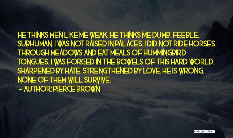 Hate The World Quotes By Pierce Brown