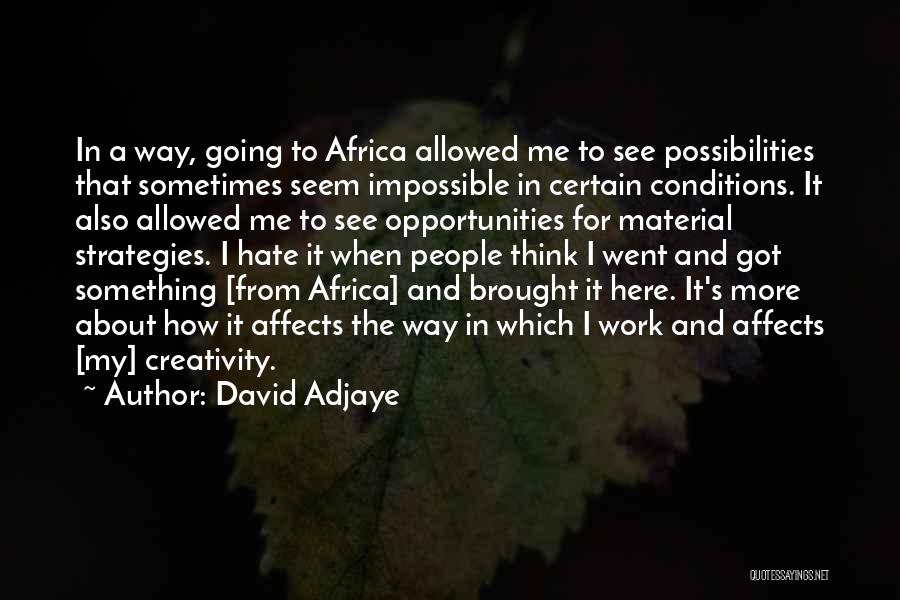 Hate To Work Quotes By David Adjaye