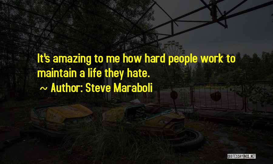 Hate To Work Quotes By Steve Maraboli