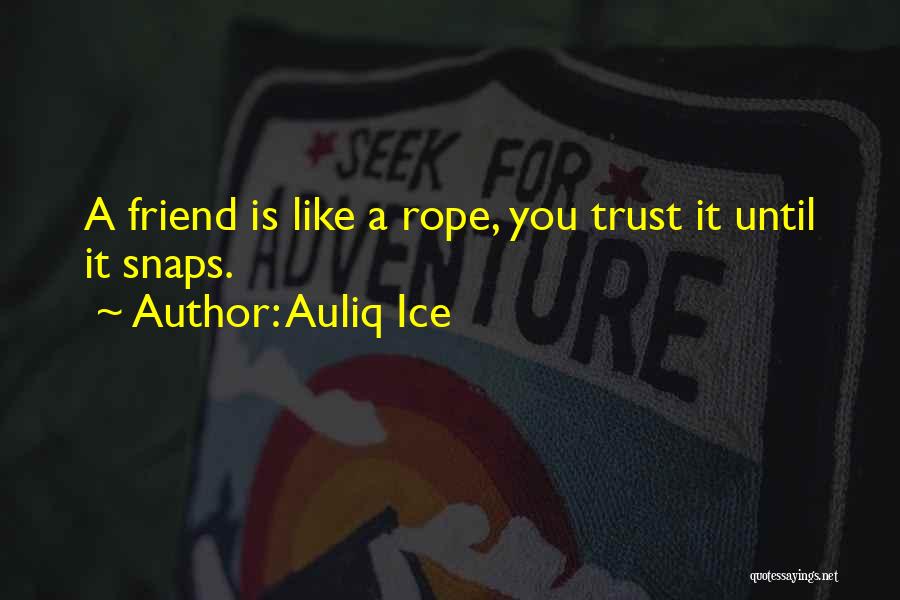 Hate You Friendship Quotes By Auliq Ice