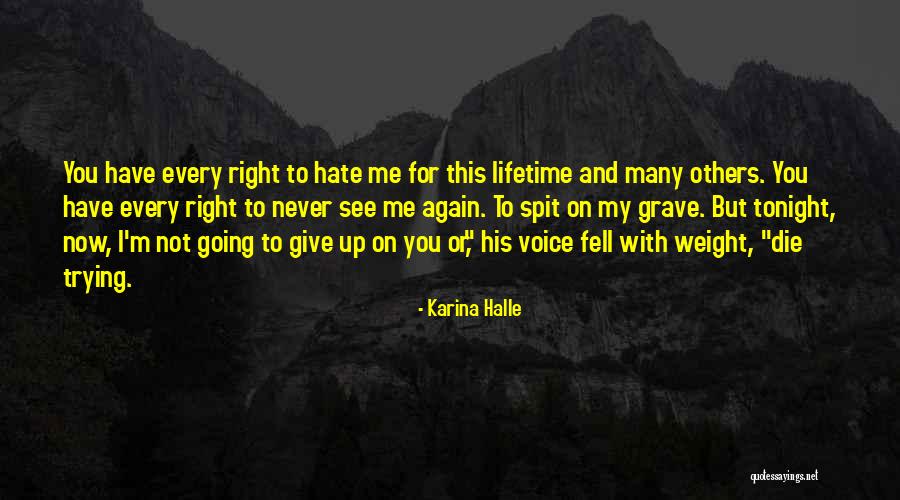 Hate You Right Now Quotes By Karina Halle Hate You Right Now Quotes By Karina Halle