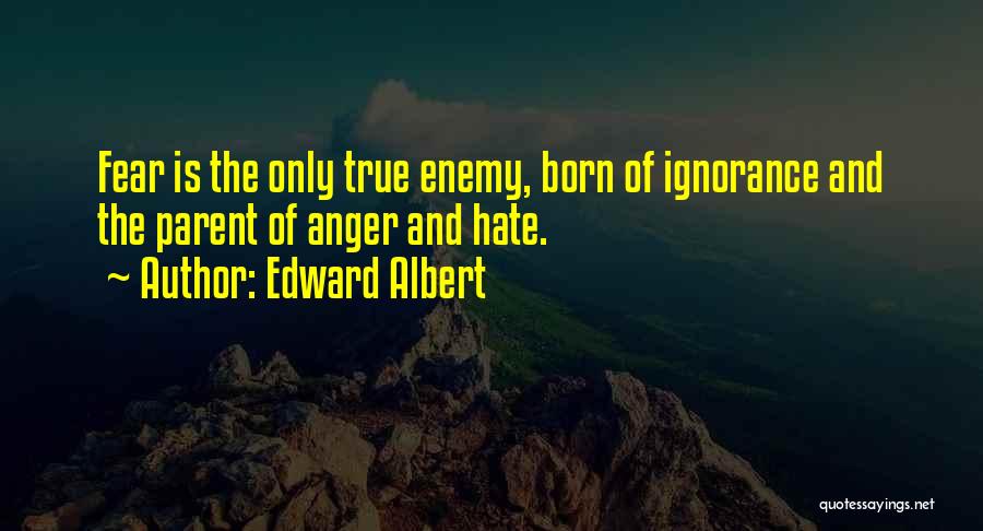 Hate Your Ignorance Quotes By Edward Albert