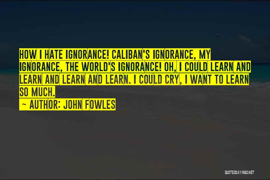 Hate Your Ignorance Quotes By John Fowles