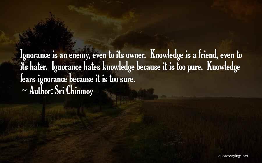 Hate Your Ignorance Quotes By Sri Chinmoy