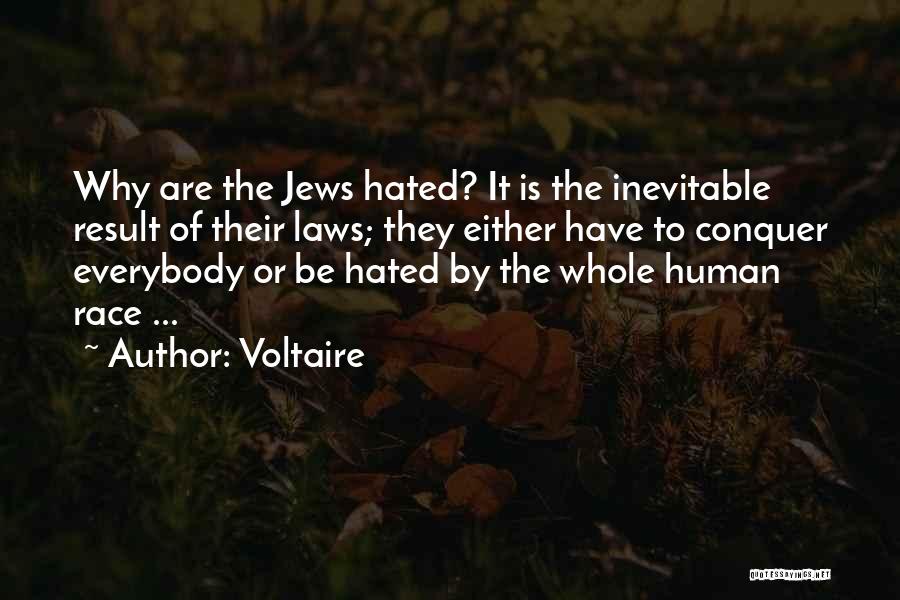 Hated By Some Quotes By Voltaire